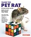 Training Your Pet Rat