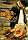 ���Q�҂ɗ���݂� ��ׯ���� [DVD]