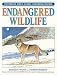 Books : Endangered Wildlife (Peterson Field Guide Coloring Books)