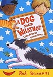 A dog called Whatnot
