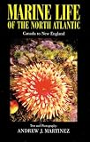 Marine Life of the North Atlantic, 3rd Edition: Canada to New England