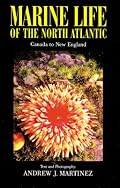 Marine Life of the North Atlantic, 3rd Edition: Canada to New England