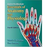 student workbook for essentials of anatomy and physiology 4e