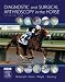 Diagnostic an Surgical Arthroscopy in the Horse