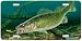 Eye Candy - Walleye Fish Art Print - License Plate by Randy McGovern from Airstrike, Inc. Image