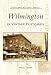 Wilmington in Vintage Postcards (DE) (Postcard History)