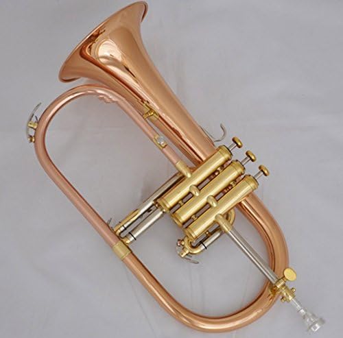 CH® Professional Abalone Shell Flugelhorn Rose Brass Monel Valve Bb Horn With Case