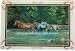 R&D Enterprises/Motorhead Products, WW-0155, 7-3/4-Inch by 11-3/4-Inch Tempered Glass Cutting Board Featuring Horses By Artist Chris Cummings