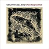 Image of album by Edwyn Collins
