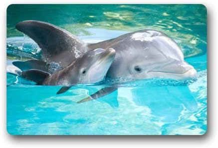 Home Nice Dolphins Clean Doormat 23.6"(L)x15.7"(W) 3/16"