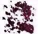 Image of Veto