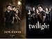 Lot of 2 Twilight Posters Movie (Twilight & New Moon) Posters Prints - 24" X 36" each