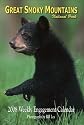 Great Smoky Mountains 2008 Weekly Engagement Calendar
