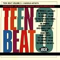 Teen Beat Vol.3