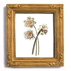 Narcissus, German School, circa 1790 - Gold Frame Magnet with pop-out easel (2-3/4" x 2-1/2")