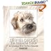 Kennel Design: The Essential Guide to Creating Your Perfect Kennels