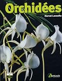 Orchid�es