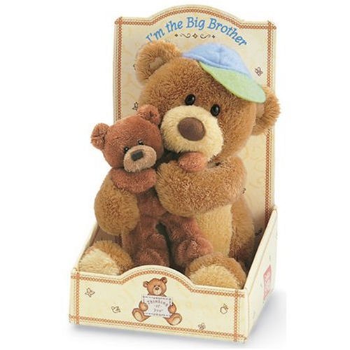 51DB3x vexL Im the Big Brother Teddy Bear