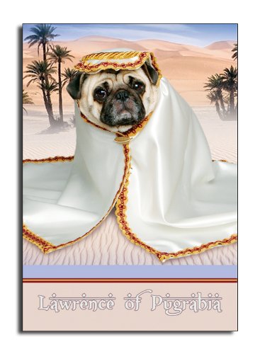 image link -  - B002TMVIOY