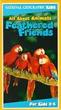 All Animals: Feathered Friends [VHS] [Import]