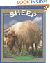 Sheep (True Books: Animals)