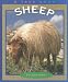 True Books: Sheep: Animals