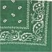 Urban Boundaries 100% Cotton Bandanna (Available in Paisley, Camouflage, Budweiser, Country Flags, and Novelty Styles -- 50+ options)