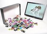 51DBDr8kRpL. SL160  Photo Jigsaw Puzzle of DOG. Weimaraner lying in deck chair from Ardea Wildlife Pets