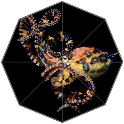 POOKOO! Best Custom Cute Animal Octopus Compact 43.5 Inch Foldable Umbrella, Women Umbrella,Men Umbrella,Travel Umbrella,Children Umbrella!Good gift!