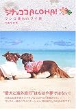 シナココALOHA-
