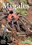 Mygales: �levage & D�couverte