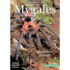 Mygales: �levage & D�couverte