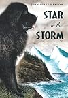 Star in the Storm (Aladdin Historical Fiction)