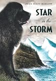 Star in the Storm (Aladdin Historical Fiction)