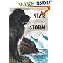 Star in the Storm (Aladdin Historical Fiction)