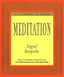 Meditation (A Little Book of Wisdom)