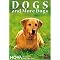 Best Resources on Dog Development & Behavior