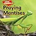 Praying Mantises (Animal Cannibals)