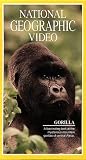 National Geographics Gorilla