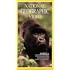 National Geographic's Gorilla [VHS]