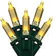 Set of 50 Transparent Gold Mini Christmas Lights - Green Wire