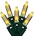 Set of 50 Transparent Gold Mini Christmas Lights - Green Wire