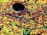 Pancreas Exocrine Tissue Acinal Epithelium X400 Photographic Poster Print, 40x30
