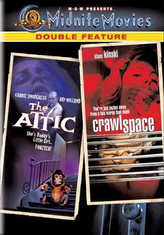 Review of The Attic/Crawlspace Online