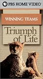 Nature - Triumph of Life, Vol. 4: Winning Teams [VHS]