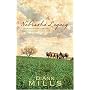 Nebraska Legacy: Mail Order Husband/Temporary Husband/Kiowa Husband/Renegade Husband (Heartsong Novella Collection)