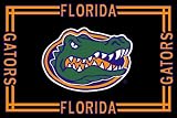 Florida Gators ( University Of ) NCAA 3x5 Area Rug