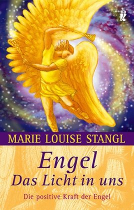 Allegria Taschenbuch Engel - Das Licht in uns: Die positive Kraft der Engel