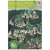 ���i�̏ڍ�