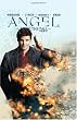 Angel: After the Fall, Vol. 4